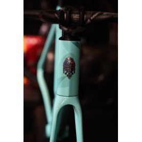 Kit cuadro Bianchi Specialissima CounterVail Disc talla 55